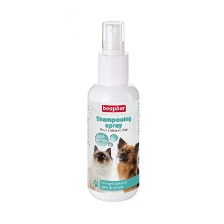 SHAMPOO SECO SPRAY X 150 ML