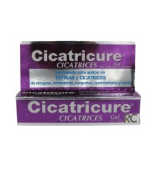 CICATRICURE GEL HIDRATANTE 60G