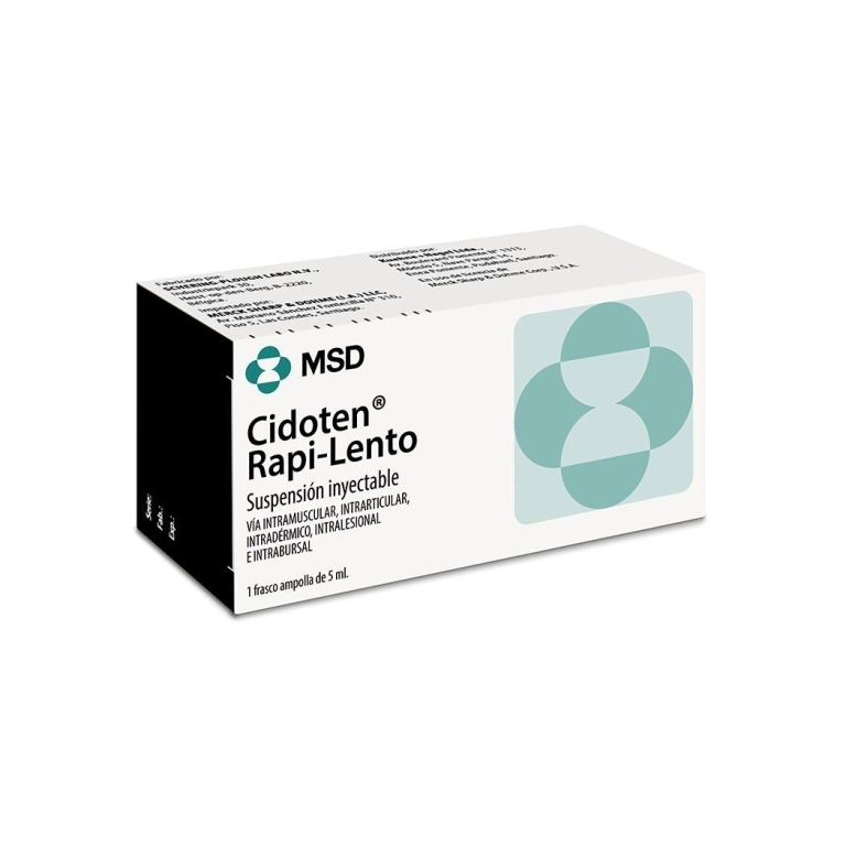 CIDOTEN RAPI-LENTO 5 ML X 1 AMPOLLA