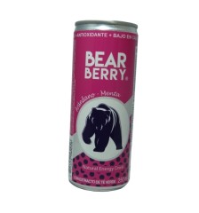 BEAR BERRY ARANDANO MENTA 250ML
