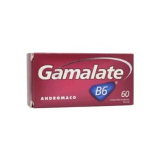 GAMALATE B6 X60 COMPRIMIDOS