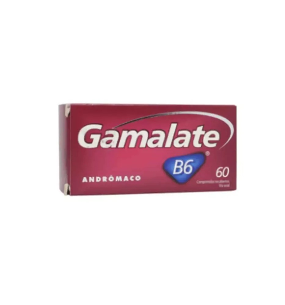 GAMALATE B6 X60 COMPRIMIDOS