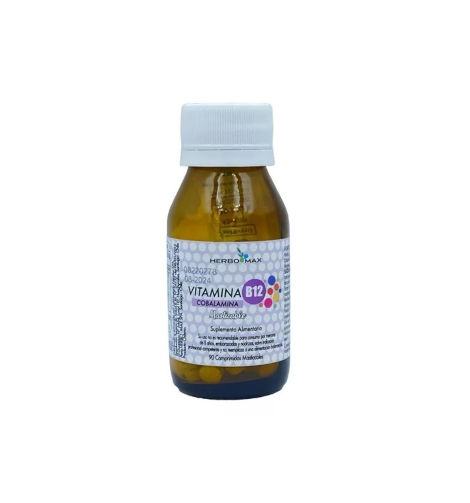 VITAMINA B6 X90