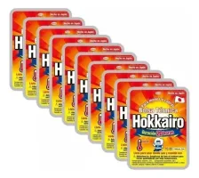 HOKKAIRO DISPLAY BOLSA TERMICA X 10 UNID