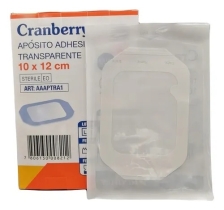 TEGADERM PAD 10X12 CM