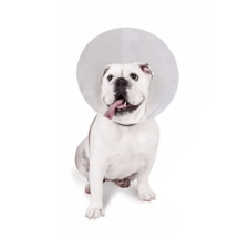 Collar Isabelino 7.5Cm X 0.6Mm | collar isabelino 7.5 cm