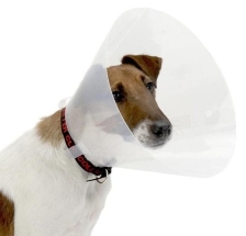 Collar Isabelino 12.5Cm X 0.65Mm | collar isabelino 12.5 cm